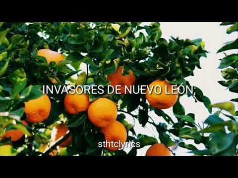 Invasores de Nuevo León // Flor de Naranjo [Letra]