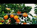 Invasores de Nuevo León // Flor de Naranjo [Letra]
