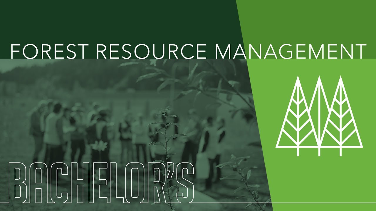 Forest Resource Management - Bachelor's Degree Program