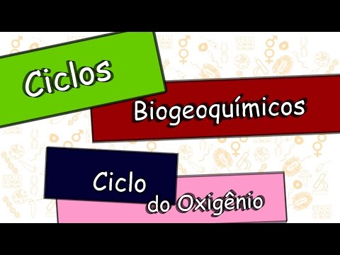 Ciclo do oxigênio.