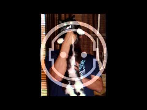 Jonas The Plugexpert - Zomersenacht (2001)