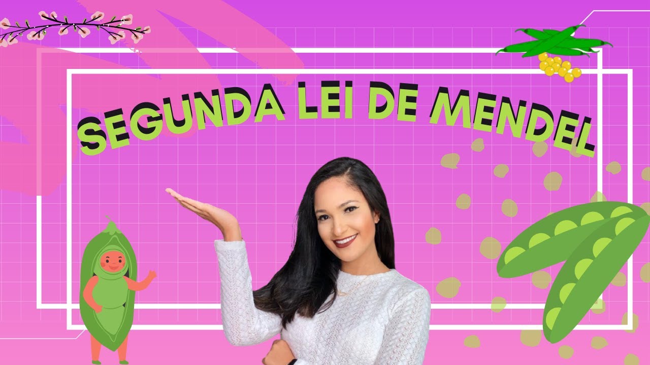 SEGUNDA LEI DE MENDEL (DIIBRIDISMO) | Thaís Magalhães