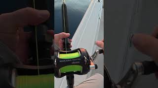 Hooked A MONSTER In 650' Of Water On Bottom! #fishing