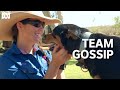 Kelpie Puppy Gossip And Stockwoman Aticia Grey Muster Dogs