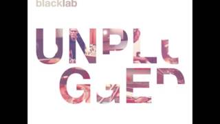 Black Lab - Remember (unplugged)