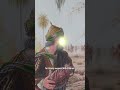 Why Do Muslims Hurt Themselves