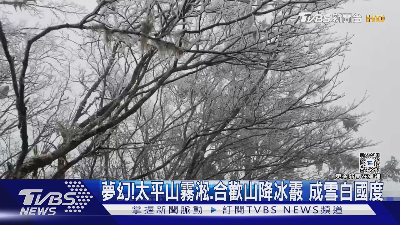 夢幻!太平山霧淞、合歡山降冰霰 成雪白國度