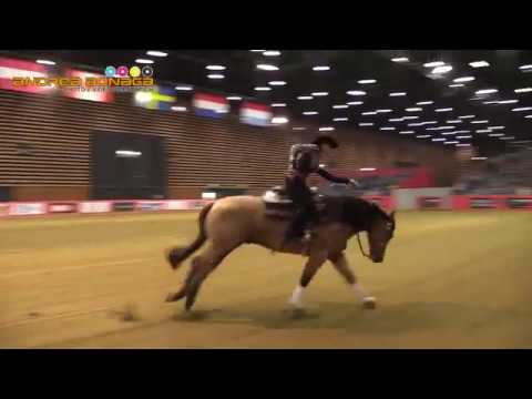 ANN FONCK POELS - MADE IN WALLA - EQUITA' 2016 LYON