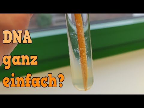 DNA extraction made easy?
