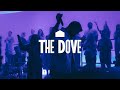 The Dove