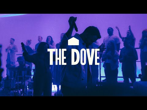Thumbnail for The Dove video
