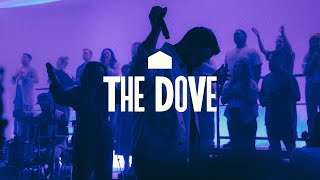 The Dove