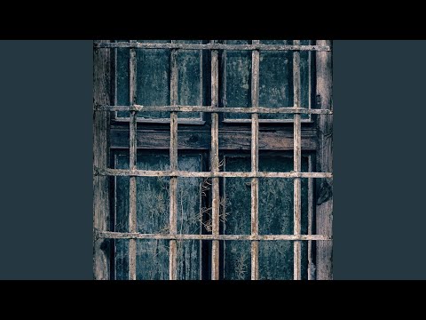 Perfect Fallen (feat. Shani Rose)