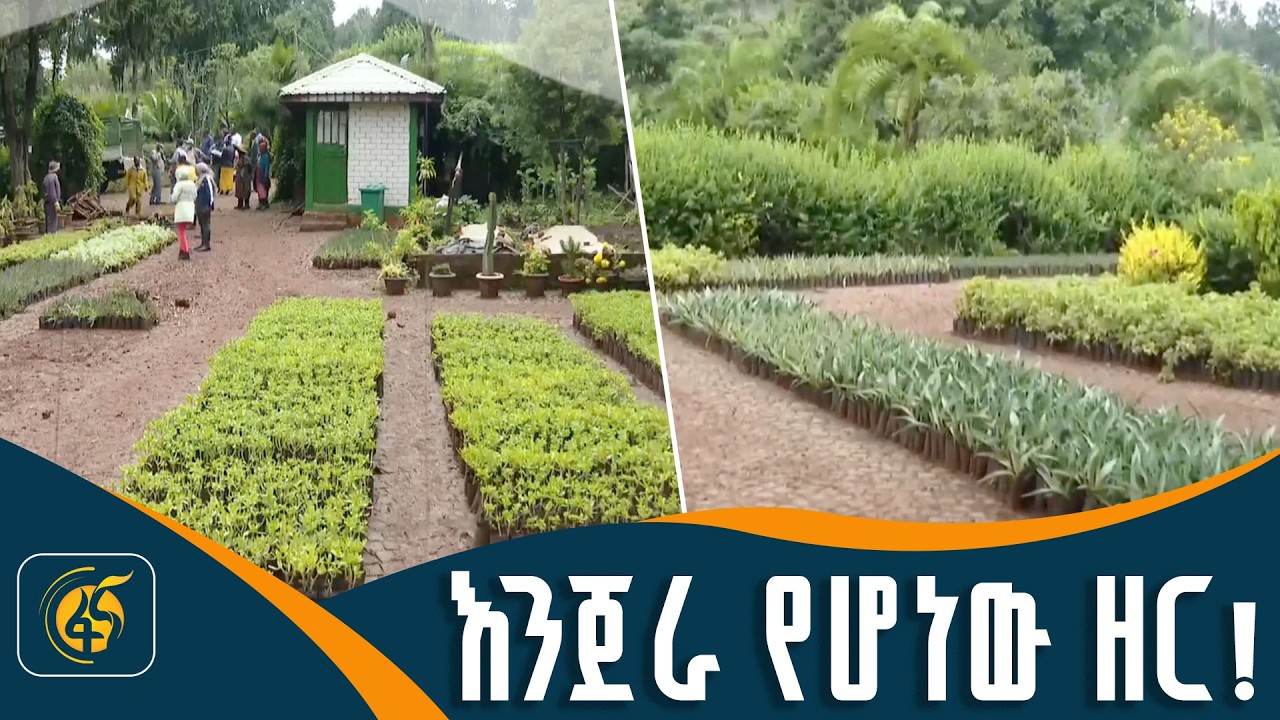 የሥራ ዕድል የፈጠረው የአረንጓዴ ዐሻራ