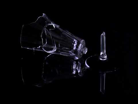 Milei celebra victoria legislativa