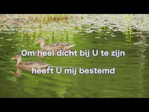 Opwekking 882 Kennen