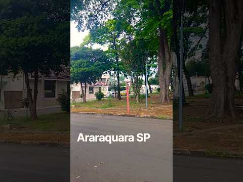 #viralvideo #Araraquara são Paulo #shorts#brasil