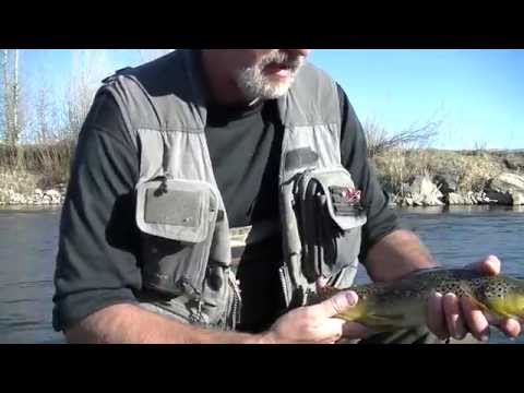 lfp Brn PrvRiver Ralapa Mar15