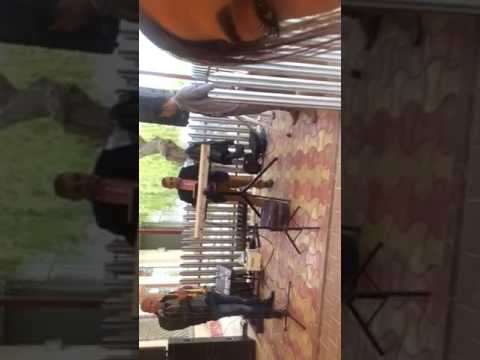 Vâlcu Budisteanu (de la Ivesti)