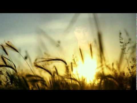 Rio Febrian - Tiada Kata Berpisah