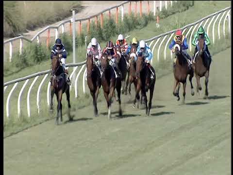 Galoppo 03/07/2019 - 1ª corsa