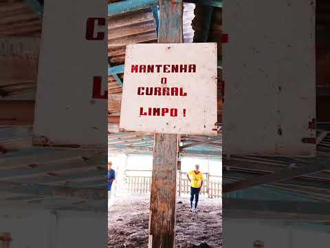 Retiro Renascença vila Retiro Grande Cachoeira do Arari 