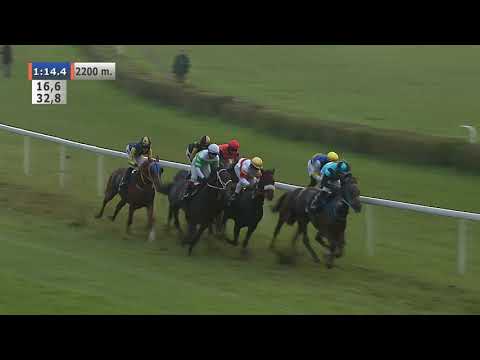 08.11.2020 (D47; G8; Tor: 4,0; 8°C)