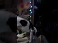 Kabhi Aar Kabhi Par