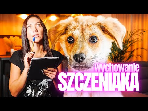 Wychowaj grzecznego SZCZENIAKA