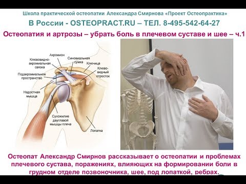 Почему нет коленных суставов Эндопротезирование плюснефалангового сустава отзывы