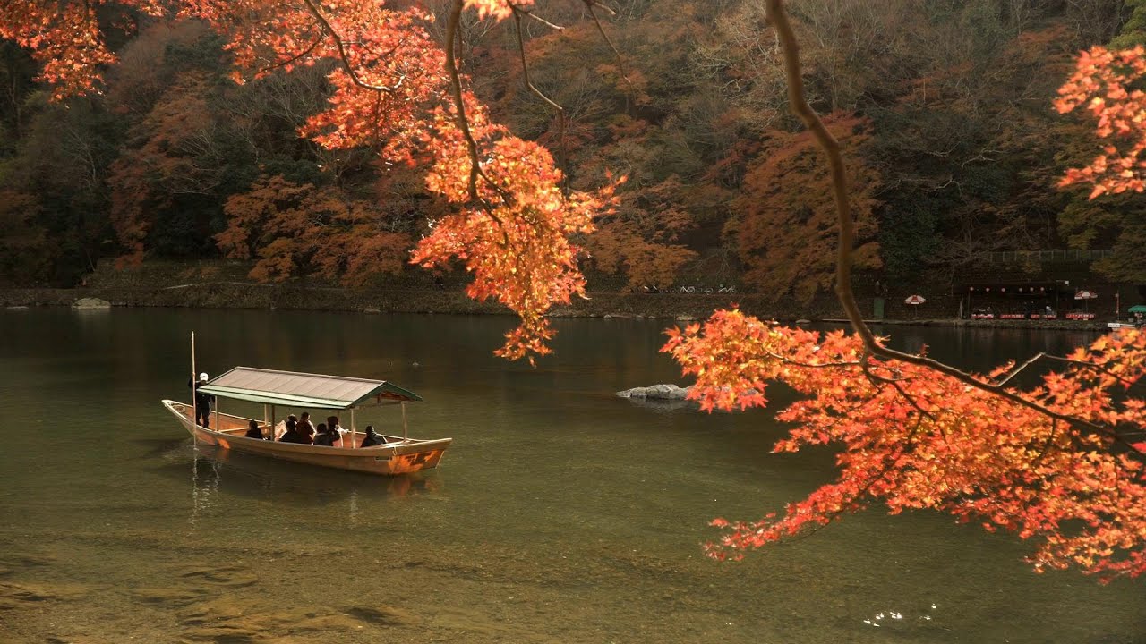 Relaxing Fall Music| Perfect music for Relaxation Sleep with Fall Ambience🍂🎶Serene Autumn Bliss