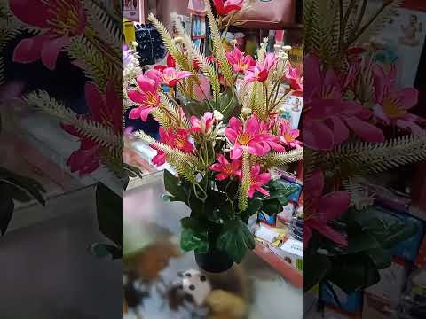 youTubeshorts#video #flowers
