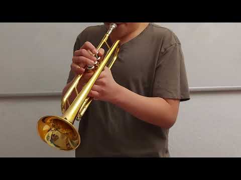 Pink Panther  - Trompete by JRB