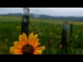 Biosphere - Warmed by the Drift