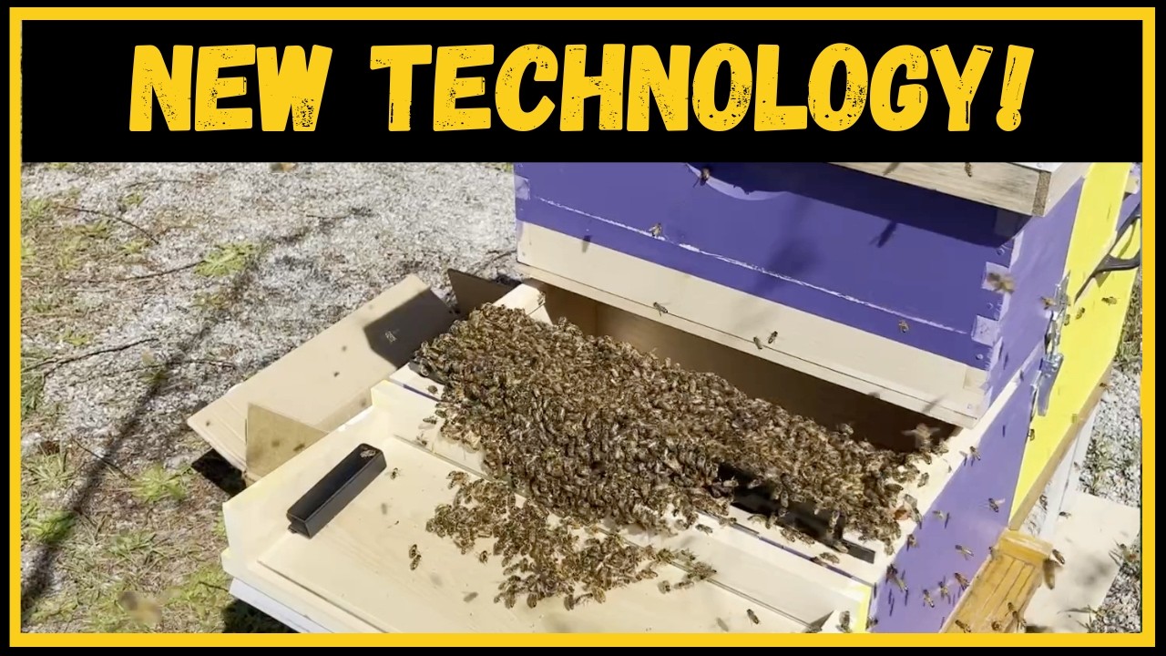 This New Beehive Design Could Change Everything! (Keeper's Hive)