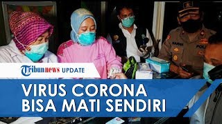 Dewan Pakar IDI: Virus Corona Bisa Mati Sendiri, Tapi Imun Taruhannya