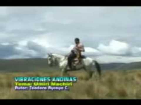 vibraciones andinas
