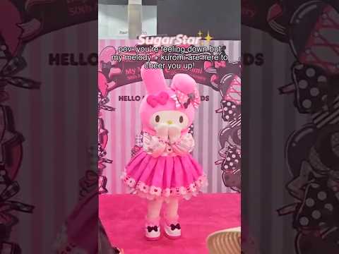 Sanrio Characters in Person! #sanrio #mymelodyandkuromi #shorts
