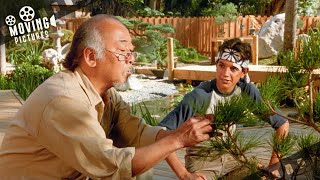 The Lessons Come Together | The Karate Kid (Pat Morita, Ralph Macchio)