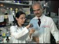 Research Minute- Dr. Roberto Bolli