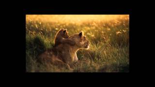 Baby Bedtime instrumental sleeping music Lullaby - 30 minutes Baby relaxing music