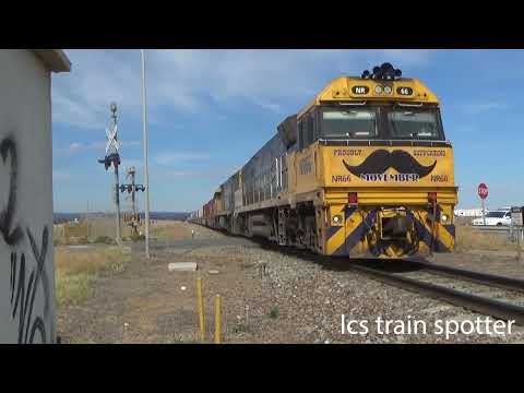 pacific national fast fright train (NR66)(NR103)