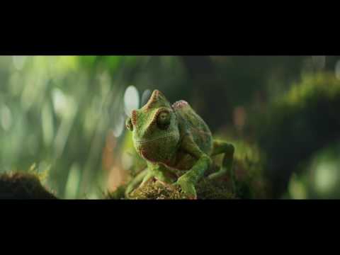 Boracca - Chameleon Dance
