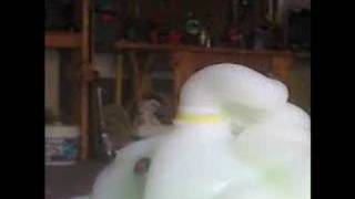 Elephant toothpaste #2