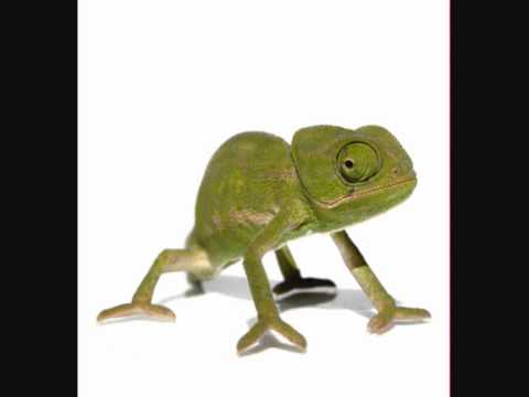 Hard Rock Sofa & St. Brothers - Myth (Original Mix)