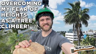 Overcoming My Fear! Climbing and Cutting Down a Tall Wobbly Palm Tree!