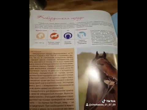 , title : 'Кабардинская порода лошадей - Единственная порода лошадей на Северном Кавказе'