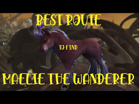 Best Route to Find ALL the Maelie the Wanderer Locations!
