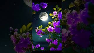 Download lagu Tula Mi Sahaj Pahile 🥀🫶💕✨🌺#youtubeshorts ##marathisong #love #crush mp3