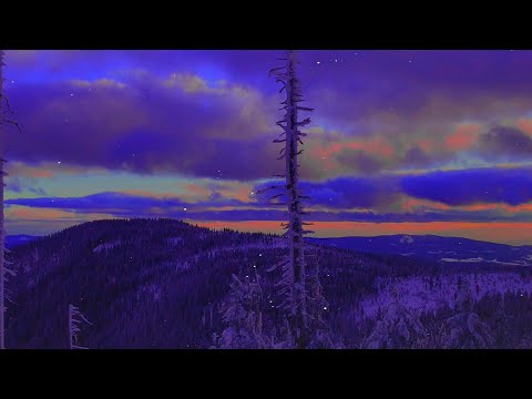 Martin Schmidt - Silent Night (Franz X. Gruber, Joseph Mohr, John F. Young)